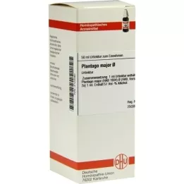 PLANTAGO MAJOR Tintura mãe, 50 ml