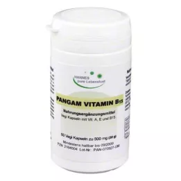 PANGAM Cápsulas de vitamina B15, 60 unidades