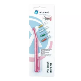 MIRADENT Kit de introdução Interd.Pic-Brush 1H+4B.tra.rosa, 1 peça