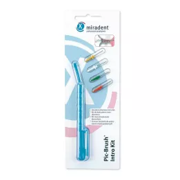MIRADENT Kit de introdução Interd.Pic-Brush 1H+4B.azul, 1 un