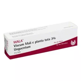 VISCUM MALI e planta total 3% Unguento, 30 g