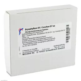 BRYOPHYLLUM Ampolas D 5/Conchae D 7, 5X10 ml