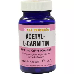 ACETYL-L-CARNITIN cápsulas de 250 mg, 60 unidades
