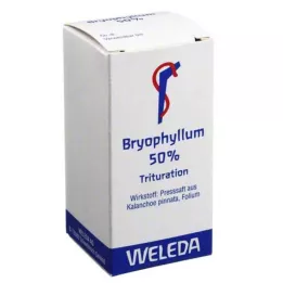 BRYOPHYLLUM Pó 50% para uso oral, 20 g