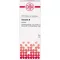 CLEMATIS Tintura mãe, 20 ml