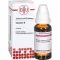 CLEMATIS Tintura mãe, 20 ml