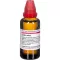 LEDUM EXTERN Tintura, 50 ml