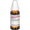 RUMEX Diluição D 1, 20 ml