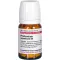 PHELLANDRIUM AQUATICUM D 4 comprimidos, 80 unidades