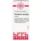 PHOSPHORUS AMORPHUS D 8 comprimidos, 80 unidades