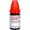 GRAPHITES LM VI Diluição, 10 ml