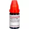 HYPERICUM LM VI Diluição, 10 ml
