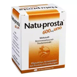 NATUPROSTA Comprimidos revestidos por película uno de 600 mg, 60 unidades