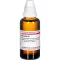 AESCULUS Diluição D 1, 50 ml