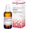 HAMAMELIS Diluição D3, 50 ml