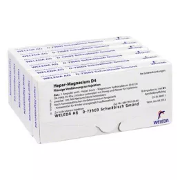HEPAR MAGNESIUM D 4 ampolas, 48X1 ml