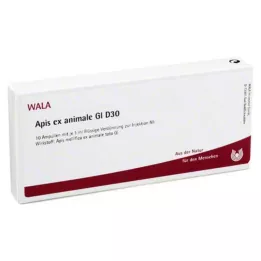APIS EX animale GL D 30 ampolas, 10X1 ml