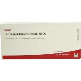 CARTILAGO articularis coxae GL D 6 ampolas, 10X1 ml