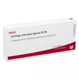 CARTILAGO gênero articularis GL D 6 ampolas, 10X1 ml