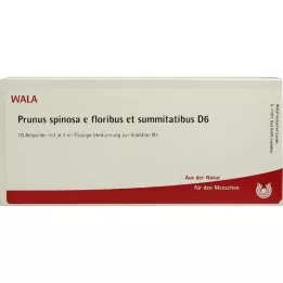 PRUNUS SPINOSA E floribus e summitatibus D 6 Amp., 10X1 ml