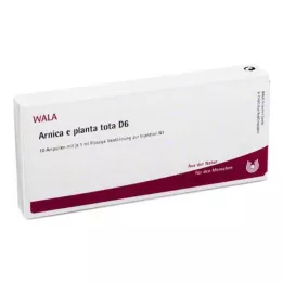 ARNICA E Planta tota D 6 ampolas, 10X1 ml