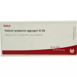 FOLLICULI LYMPHATICI agregados GL D 6 ampolas, 10X1 ml