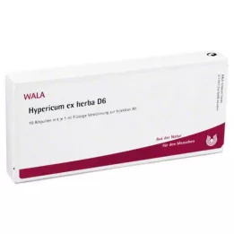 HYPERICUM EX Herba D 6 ampolas, 10X1 ml
