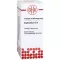 EUPHORBIUM Diluição D4, 50 ml