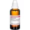 HAMAMELIS Diluição D 12, 50 ml