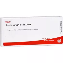 ARTERIA CEREBRI mídia GL D 6 ampolas, 10X1 ml