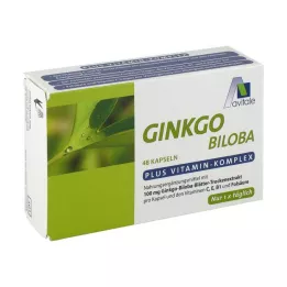 GINKGO Cápsulas de 100 mg+B1+C+E, 48 unidades