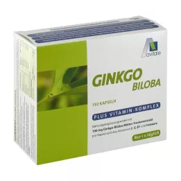 GINKGO Cápsulas de 100 mg+B1+C+E, 192 unidades