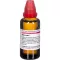 RUTA EXTERN Extrato, 50 ml