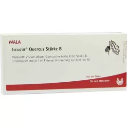 ISCUCIN quercus Strength B ampolas, 10X1 ml