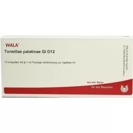 TONSILLAE palatinas GL D 12 ampolas, 10X1 ml