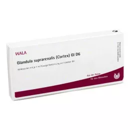 GLANDULA SUPRARENALES córtex GL D 6 ampolas, 10X1 ml