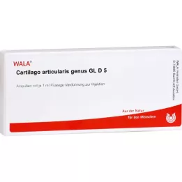 CARTILAGO gênero articularis GL D 5 ampolas, 10X1 ml