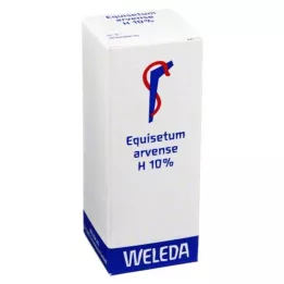EQUISETUM ARVENSE H 10% óleo para fricção, 50 ml