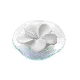 DUFTSTEIN Prato de vidro para frangipani transparente, 1 un