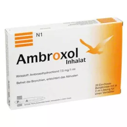 AMBROXOL Solução para inalação para nebulizador, 20X2 ml