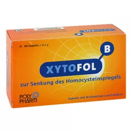 XYTO Cápsulas Fol B, 90 unidades