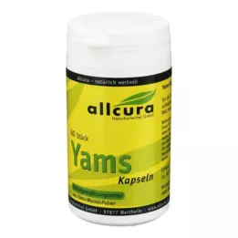 YAMS Cápsulas 250 mg de inhame em pó, 60 unidades