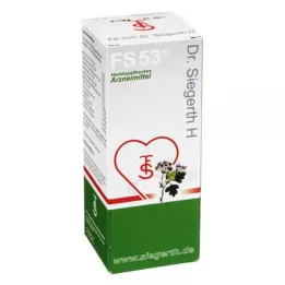 FS 53 Dr.Siegerth H líquido, 100 ml