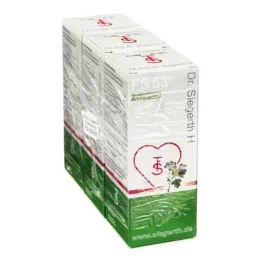 FS 53 Dr.Siegerth H líquido, 3X100 ml