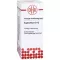 EUPHORBIUM D 12 Diluição, 20 ml