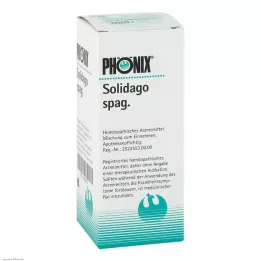 PHÖNIX SOLIDAGO mistura de espaguete, 100 ml
