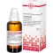 TARANTULA Diluição D 12, 50 ml