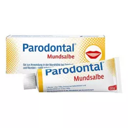 PARODONTAL Pomada bucal, 20 g