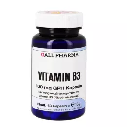 VITAMIN B3 100 mg GPH cápsulas, 60 unidades