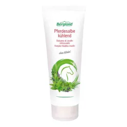 Pomada refrescante para cavalos (100 ml)